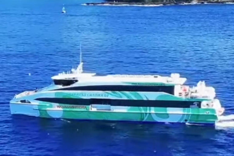 Bali: Gili Island Snorkeling Tour Include Fast Boat Go/Back