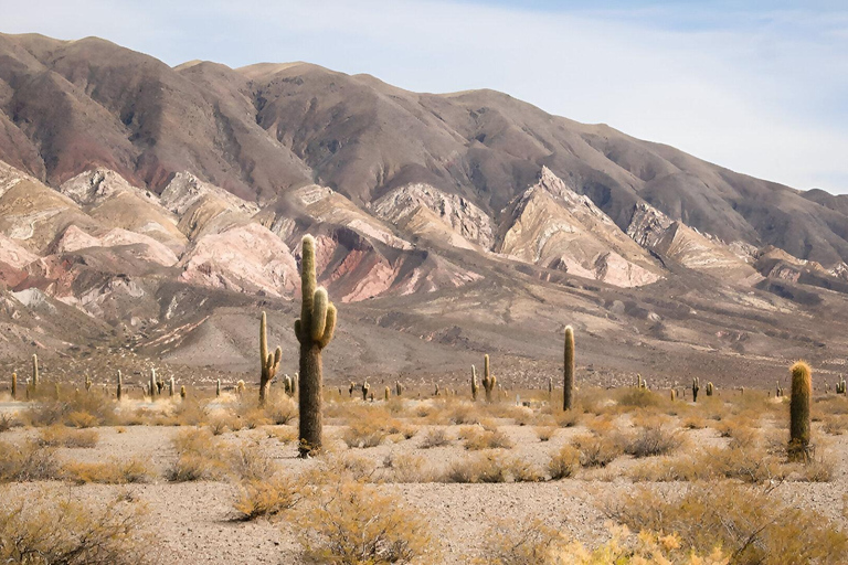 Flavors of Altitude, experience Cachi and Hornocal in 2 days Flavors of Altitude, experience Cachi and Hornocal in two days