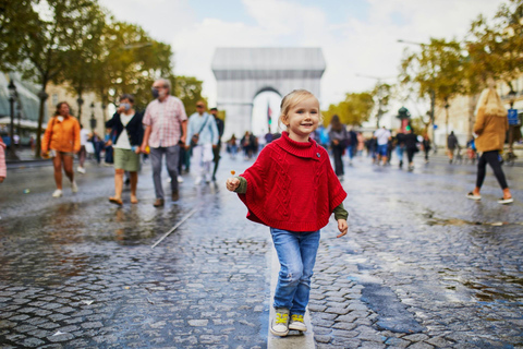 巴黎小皇宫美术馆之旅（含门票）4.5 小时：小皇宫和临时展览及接送