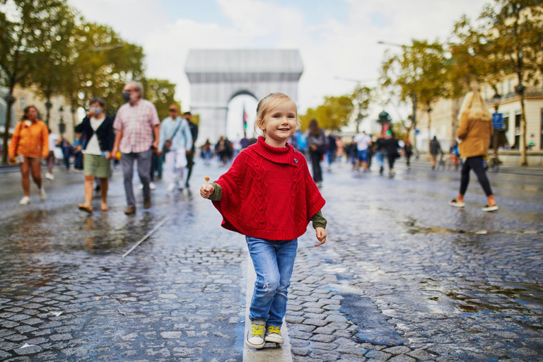 巴黎小皇宫美术馆之旅（含门票）4.5 小时：小皇宫和临时展览及接送