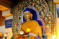 Dharamshala Full Day Tour - Housity