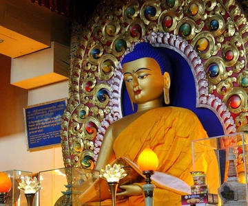 Excursão de dia inteiro a Dharamshala