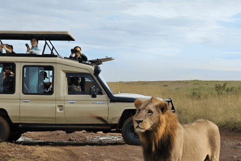 Nairobis nationalpark, elefantbarnhemmet och giraffcentret