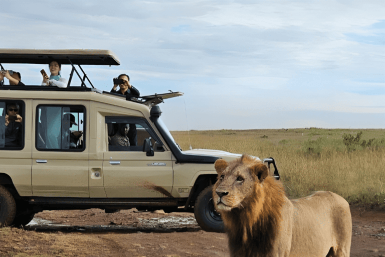 Parque Nacional de Nairobi, Orfanato de Elefantes y Centro de Jirafas