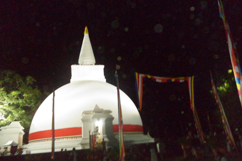 Colombo: 5-Day Sri Lanka Cultural Tour with Transfers