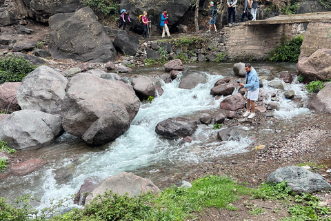 马拉喀什：乌里卡山谷一日旅行：导游徒步和午餐马拉喀什：奥里卡山谷一日旅行：导游徒步和午餐