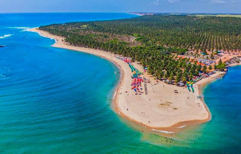 From Maceio: Gunga Beach & Full-Day Tour | GetYourGuide