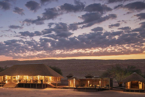 From Windhoek: 6-Day Namibia Safari with Lodging & Meals