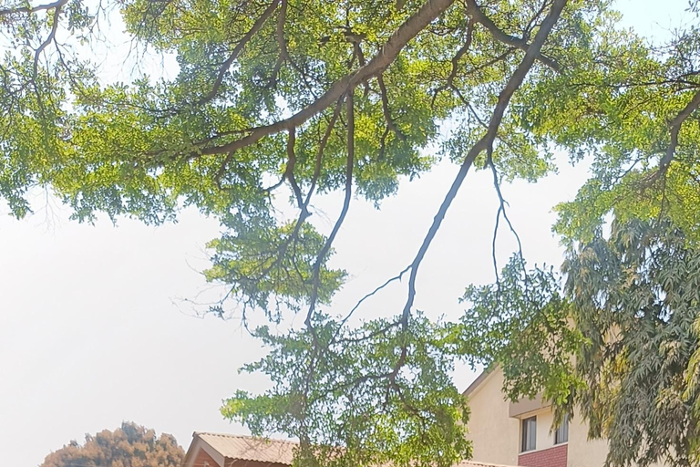 Arusha: Sinoni Community Walking Tour with Street Food