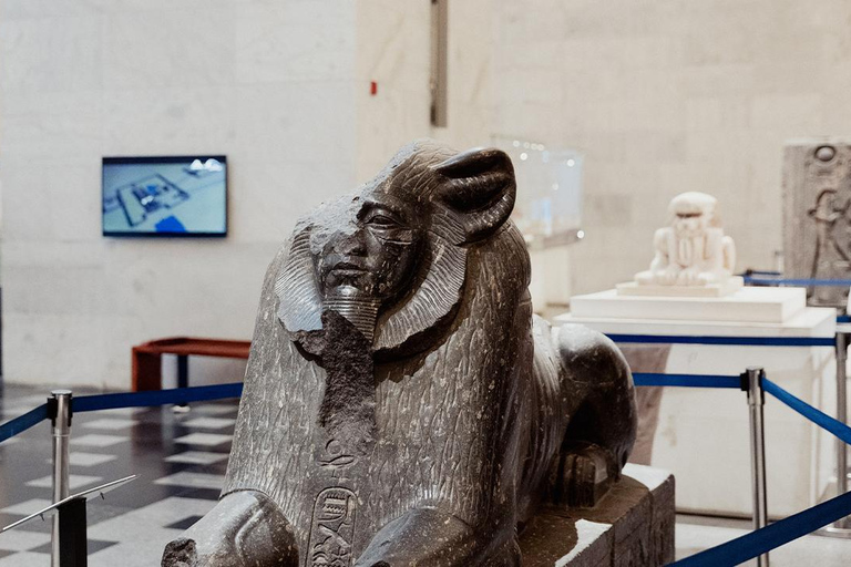 Cairo: NMEC Royal Mummies Hall Tour with Guide & Transfers NMEC Royal Mummies Hall with Multilangual Guide & Transfers