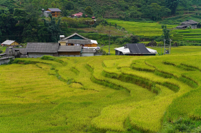 Sapa Trip to Y Linh Ho - Lao Chai - Ta Van - Cat Cat Village