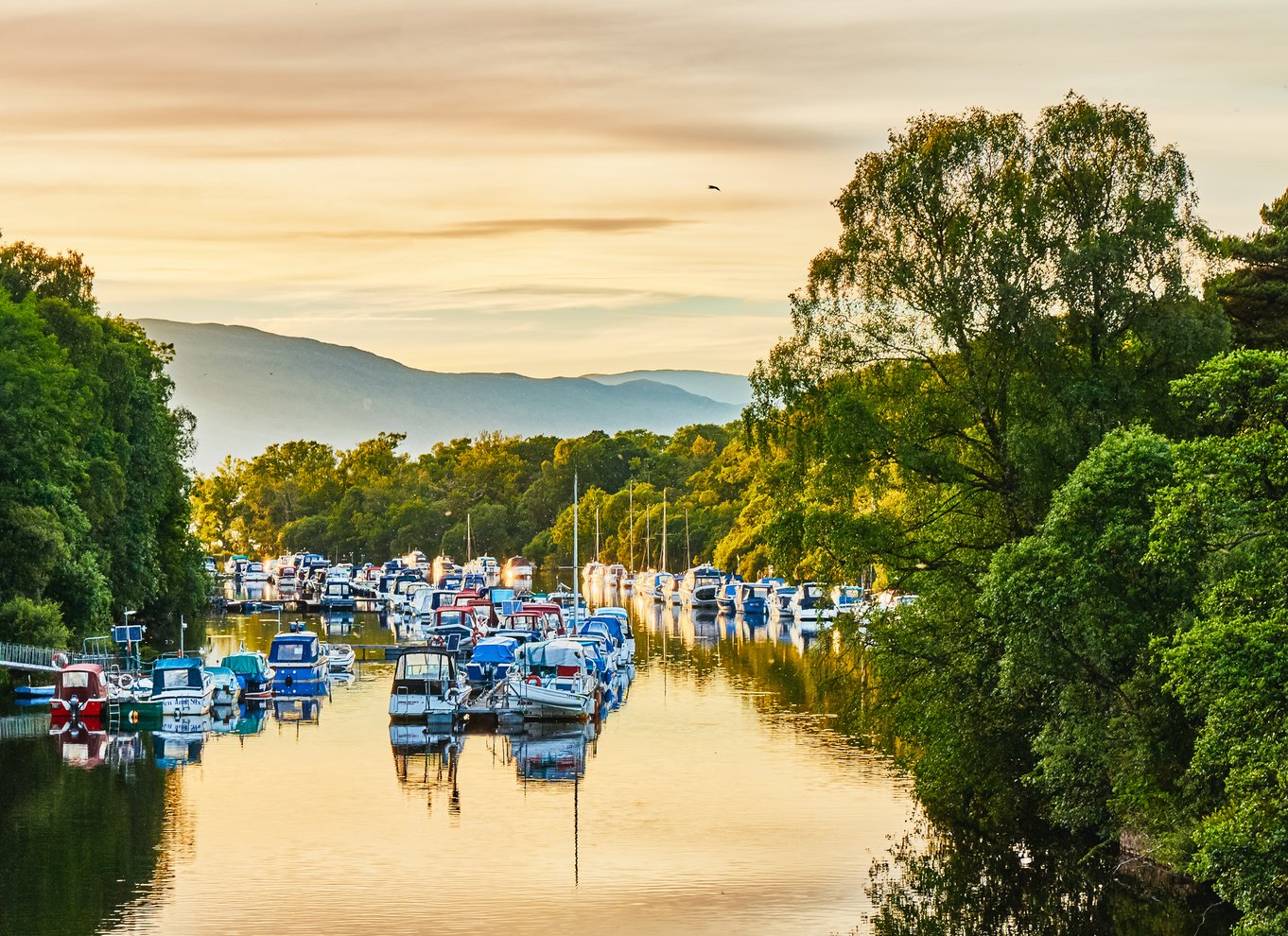 Loch Lomond: Sightseeing-krydstogt i det skotske højland