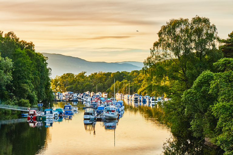 Loch Lomond: Sightseeingkryssning i det skotska höglandetLock Lomond: En timmes båtutflykt