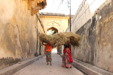 Jaipur: No Shopping, Full day Guided Tour with Heritage Walk 100% No Shopping : A Full Day Guided Tour of Jaipur with Car