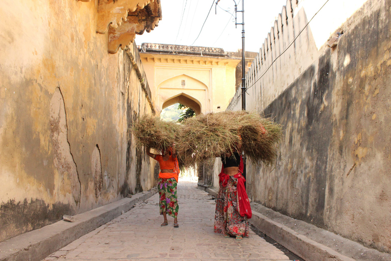 Jaipur: No Shopping, Full day Guided Tour with Heritage Walk 100% No Shopping : A Full Day Guided Tour of Jaipur with Car