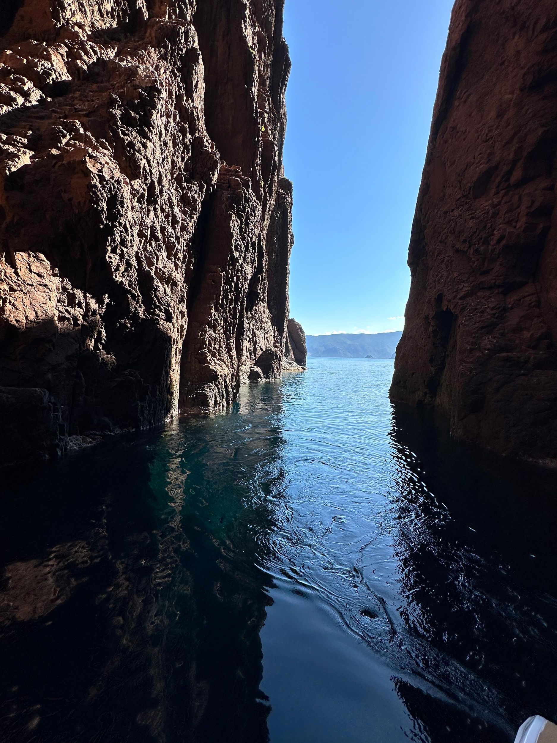 Calvi: Scandola & geheime Höhlen mit dem Boot (max. 12 Personen) – Schwimmen