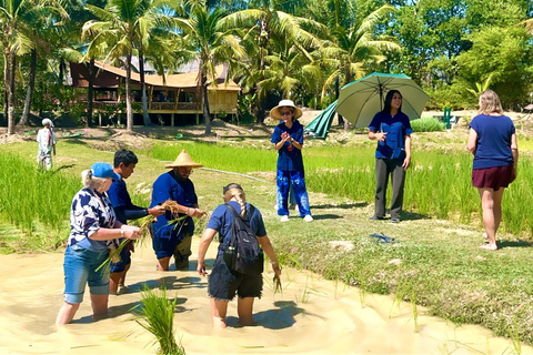 Phuket: 6 Authentic Thai Cultural Hands-On Experiences