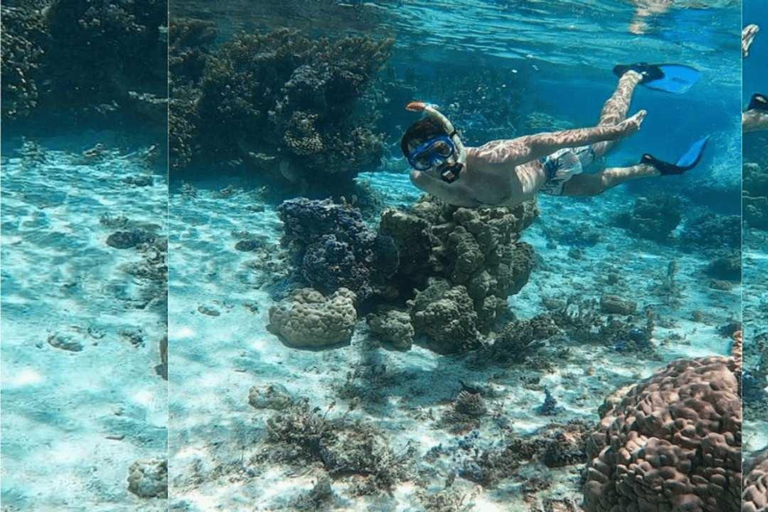 Punta Cana: Catalina Island Snorkeling Tour with Lunch