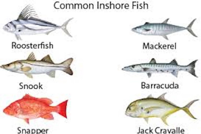 Playa Mantas: Beach Fishing Tour Beach Fishing Tour at Playa Mantas