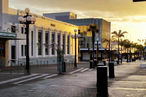 Napier: Highlights & Tour Exploring the Best of this Region