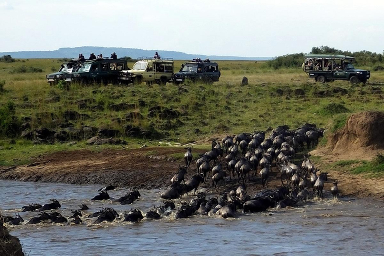 From Nairobi: Lake Turkana and Marsabit National park