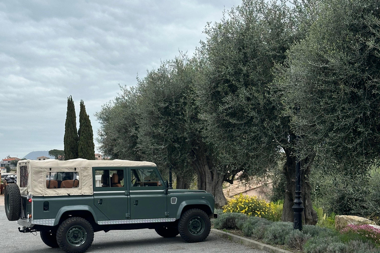 Nice: 4x4 Tour to Èze Village with Fragonard Perfume Factory