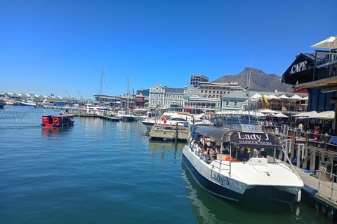 Cape Town: V&A Waterfront Walking Tour with Wine Tasting