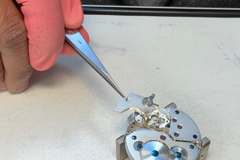 Switzerland: Mobile Introductory Watchmaking Workshop Switzerland: Mobile watchmaking workshop