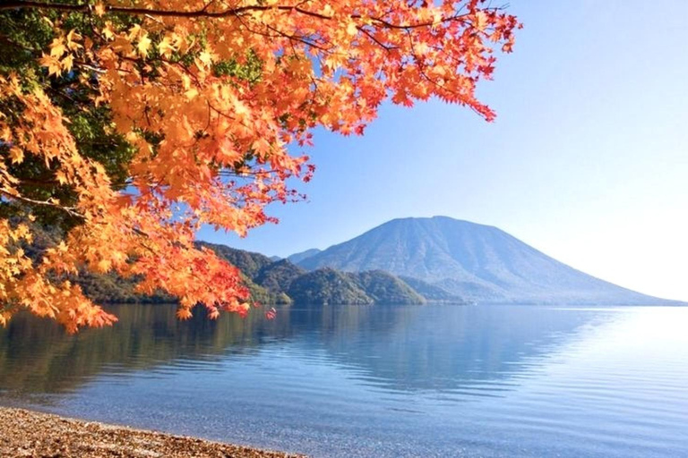 Private Tour From Tokyo To Mount Fuji with Custom Itinerary Mount Fuji Full-Day Private Tour Customizable individual