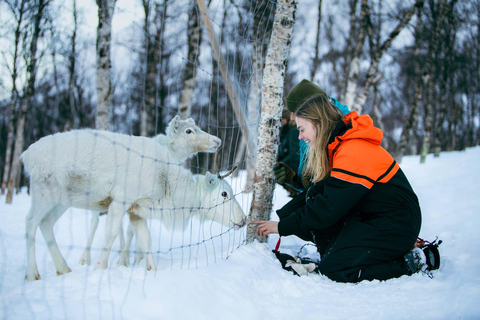 From Tromsø: Snowshoeing Daytime & Snow Park Visit