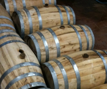 Visita a uma adega boutique e prova de vinhos perto de Arezzo