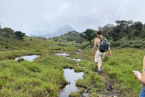 Tedo 7 Waterfalls Peak Adventure – Knuckles Mountain Range
