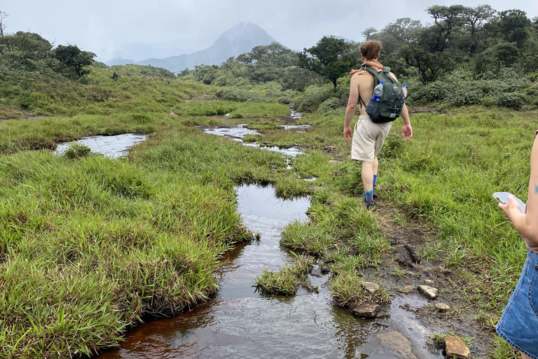 Tedo 7 Waterfalls Peak Adventure – Knuckles Mountain Range