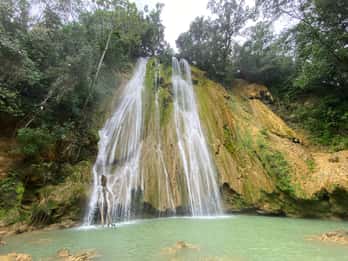 Samaná: El Limón Waterfall Horseback Riding Tour