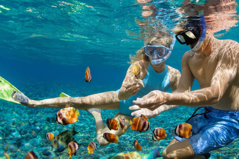 Bali: Amanecer Observando Delfines, Excursión de Natación y SnorkelTour en barco privado con punto de encuentro