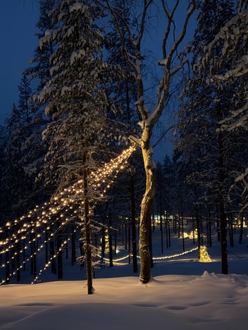 Rovaniemi, Mystical Forest Winter Trail/Pickup and Drop-off