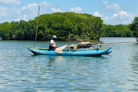 Negombo To Muthurajawela Wetlands Bird Watching Boat Tour
