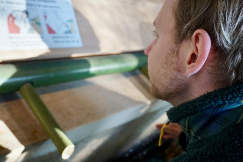 Tokyo: Santuario Meiji di Harajuku 1h a piedi Tour di spiegazioni