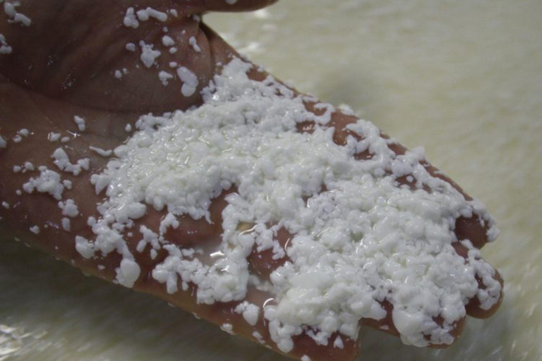 From Milk to Wheels: Parmesan Tour & Tasting in Parma Parmesan Tour in Parma - German