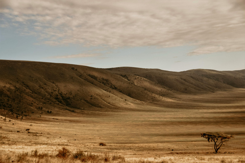 5 dagar Tarangire, Ngorongoro och Serengeti nationalpark