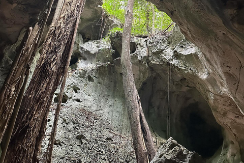 Grotten Tour en VervoerVan Falmouth/ Trelawny