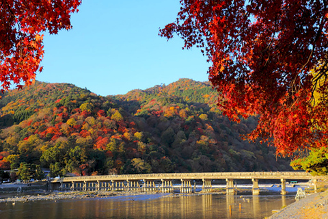 From Kyoto: Sagano Train Ride and Guided Kyoto Day Tour Tour with Buffet Lunch