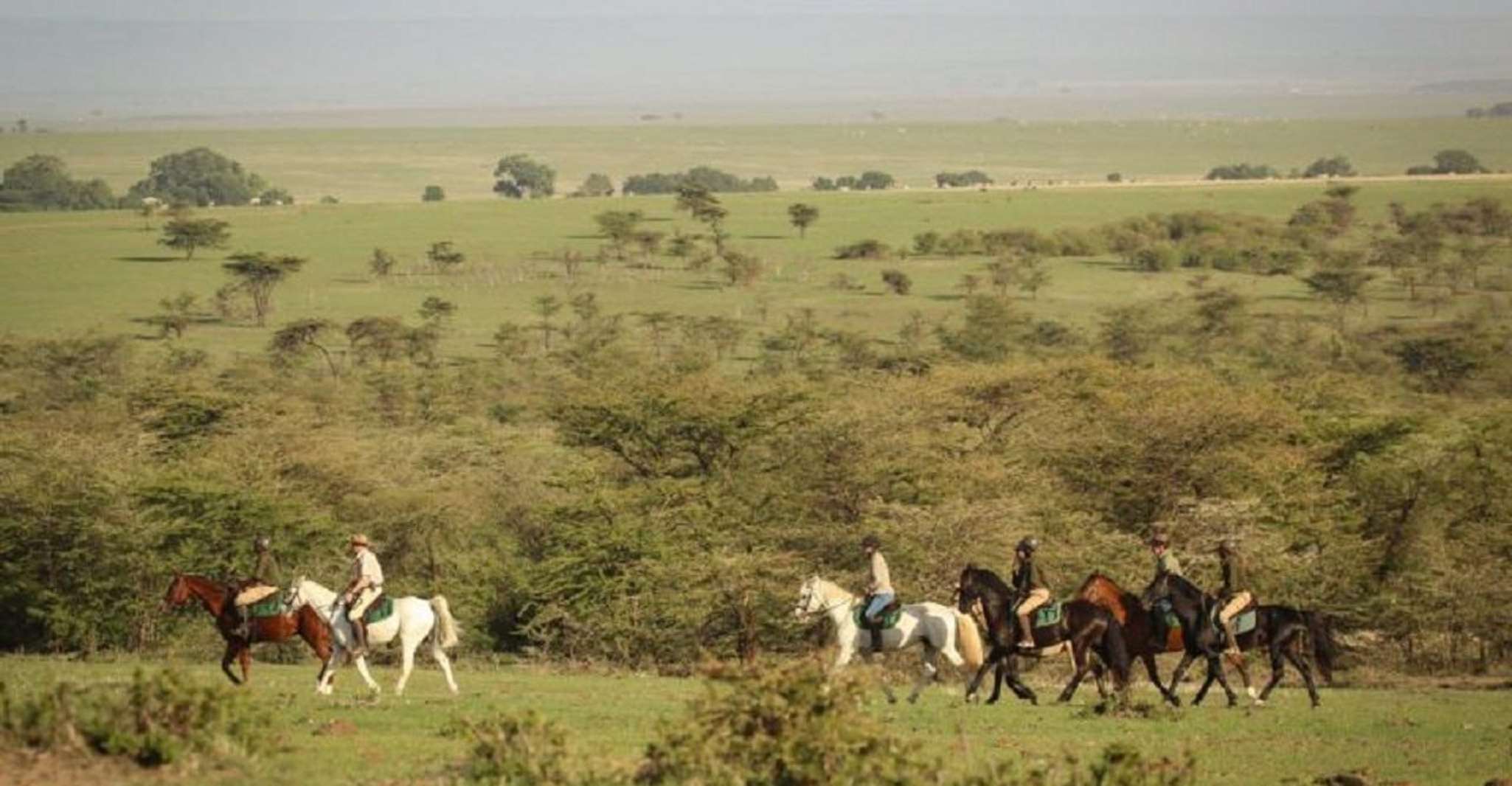 Suitetrails - Discover Kenya's Coast with Explore Elegance Travel & Tours