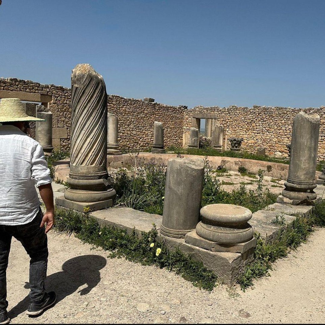 Excursion privée à Volubilis, Moulay Idriss et Meknès