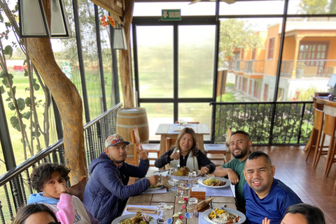 Paracas e Huacachina: Ilhas, Dune Buggy e Piquenique ao Pôr do SolParacas e Huacachina: Ilhas, Buggy nas Dunas e Piquenique ao Pôr do Sol