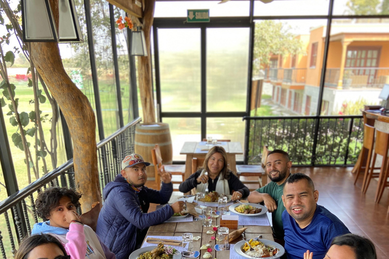 Paracas e Huacachina: Ilhas, Dune Buggy e Piquenique ao Pôr do SolParacas e Huacachina: Ilhas, Buggy nas Dunas e Piquenique ao Pôr do Sol