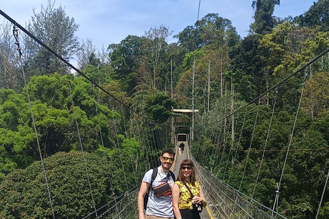 From Jakarta: Situ Gunung Suspension Bridge Day Trip