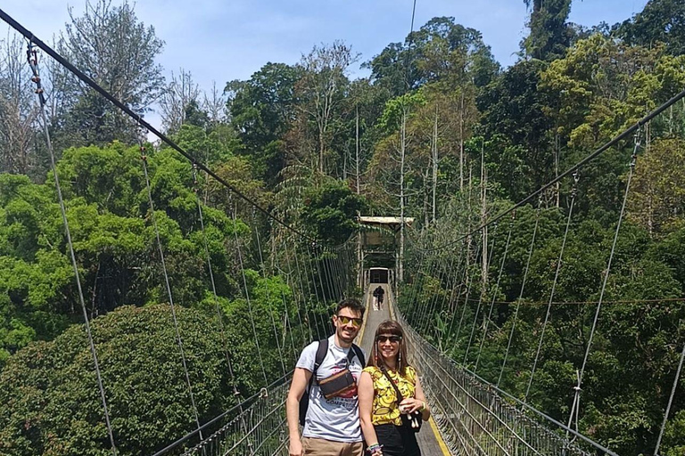 From Jakarta: Situ Gunung Suspension Bridge Day Trip