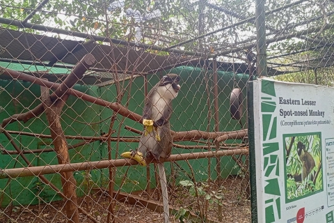 Stadsrondleiding Accra met Wildlife Experience