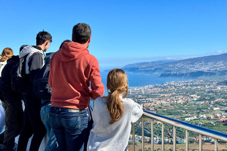 Puerto de la Cruz: Quad Tour with Off-Road Route, Viewpoints & Photos Single Quad (1 person per quad)